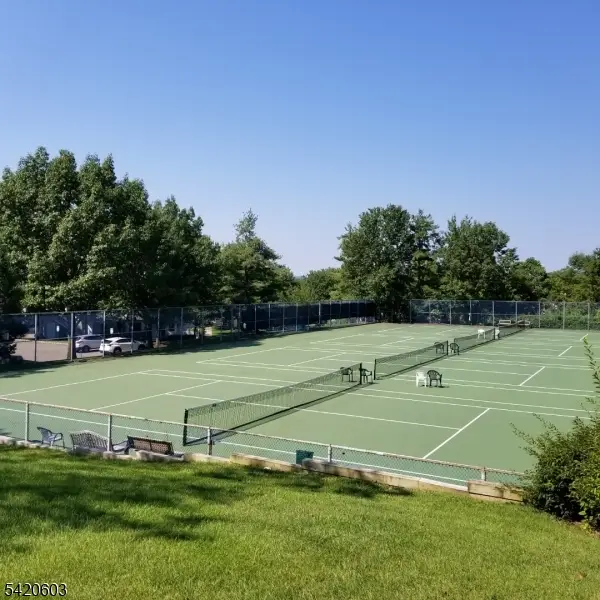 16 Dunbar Court, The Hills, NJ 07921 - #2