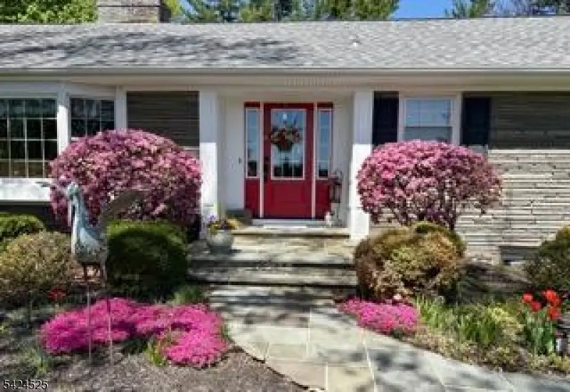 225 Pleasant Hill Rd, Chester, NJ 07836 - #1