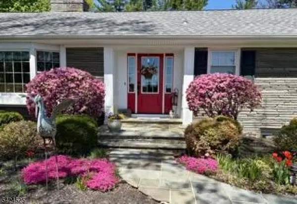 225 Pleasant Hill Rd, Chester Twp., NJ 07836