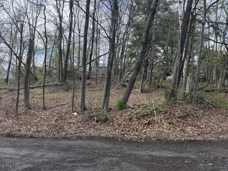 3 Neptune Rd, Upper Greenwood Lake, NJ 07421 - #2