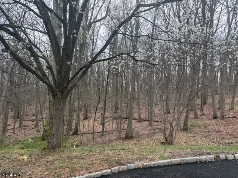 14 Cathy Ln, Mount Olive, NJ 07836 - #1