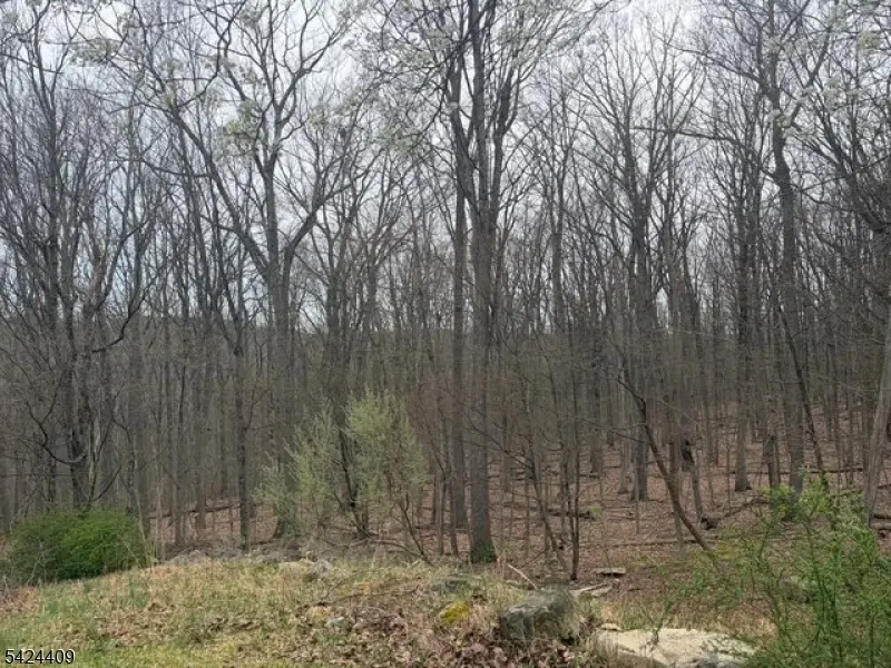 14 Cathy Ln, Mount Olive, NJ 07836 - #3