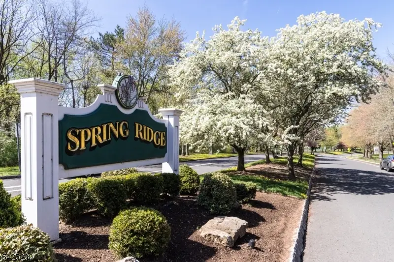 184 Alexandria Way, Bernards, NJ 07920 - #1