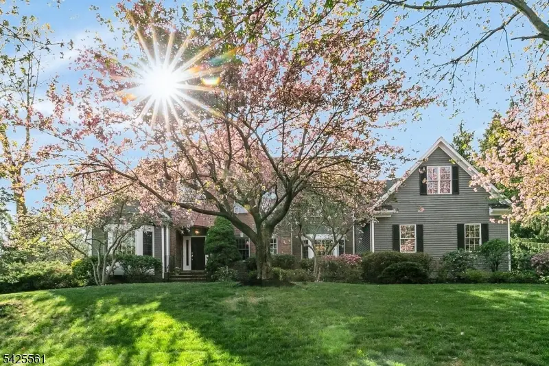 98 Bernard Dr, Lyons, NJ 07920 - #1