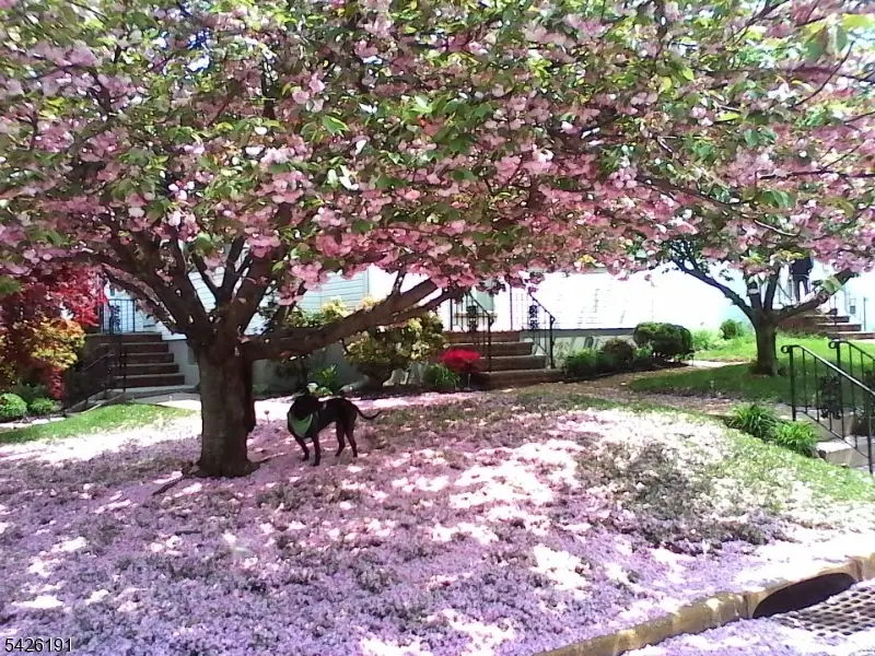 305 Woodlawn Ave, Linden, NJ 07036 - #2