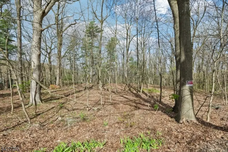 11 Alamoosook Rd, Vernon, NJ 07422 - #2