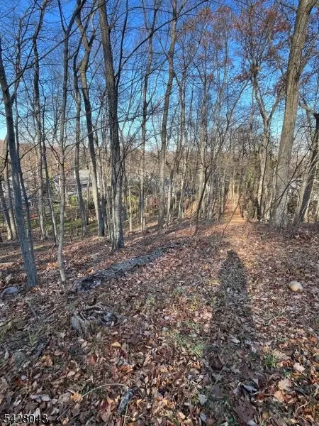 22 Mountain Rd, Denville, NJ 07834 - #3