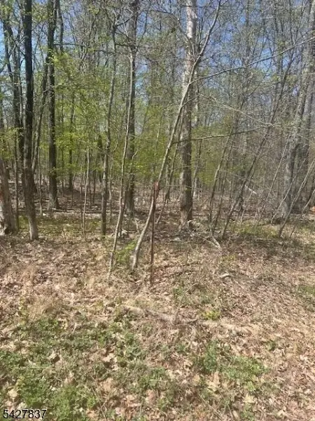37 Courtright Rd, Wantage Twp., NJ 07461