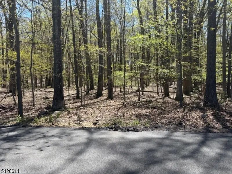 61 Quenby Mountain Rd, Liberty, NJ 07838 - #1