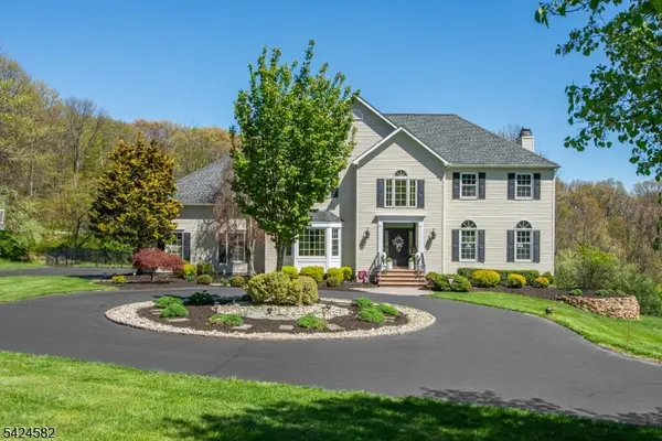 10 David Pl, Mount Olive Twp., NJ 07836