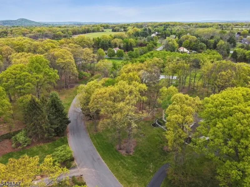 4 Flintlock Rd, Readington, NJ 08822 - #3