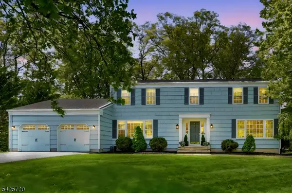 60 Hendricks Dr, Hanover Twp., NJ 07950
