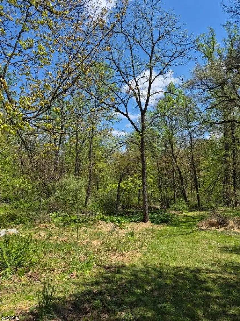 179 Hoffman Rd, Mansfield, NJ 07865 - #3