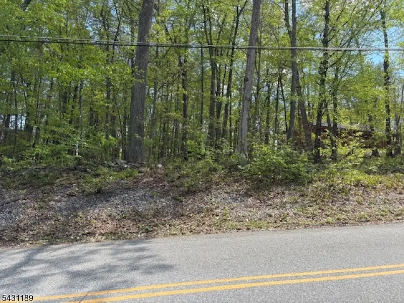 132 Mary Jones Rd, Hampton, NJ 07860 - #1