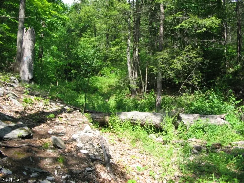 67 Pidgeon Hill, Wantage, NJ 07461 - #3
