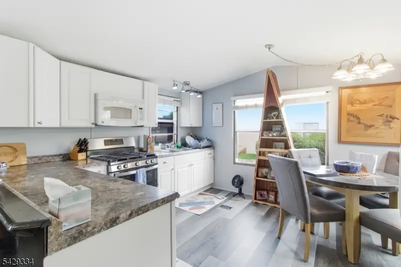 195 W Main St #D, Chester, NJ 07930 - #3