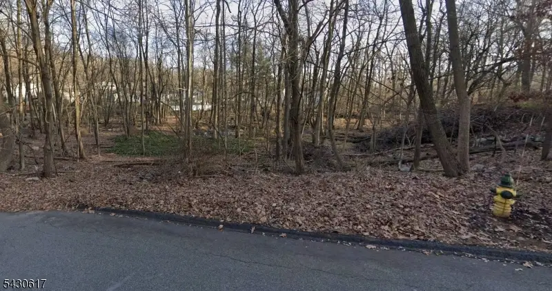 25 Budd Ave, Budd Lake, NJ 07828 - #1