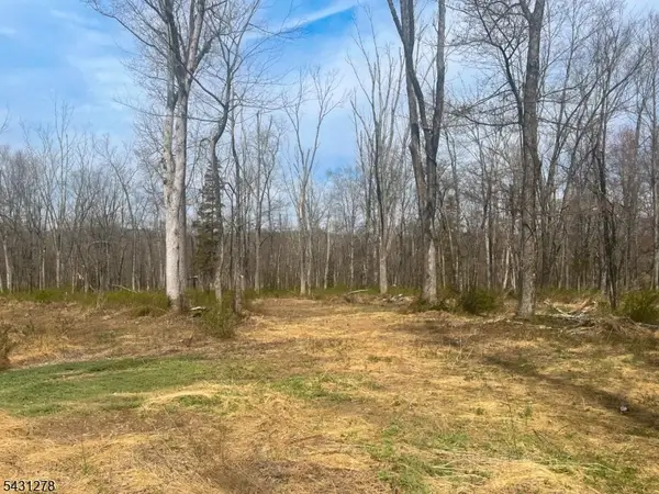 29 Twin Oaks Ln, Harding Twp., NJ 07976