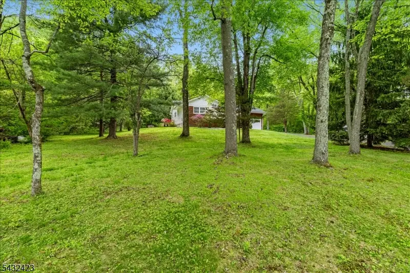 111 E Mountain Rd, Hillsborough, NJ 08844 - #2