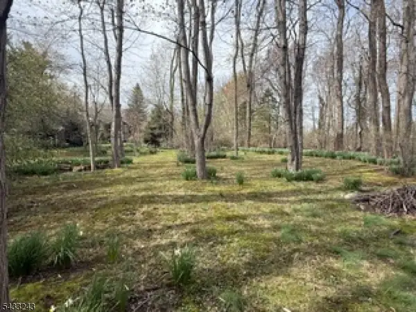 691A Ridgedale Ave, East Hanover Twp., NJ 07936