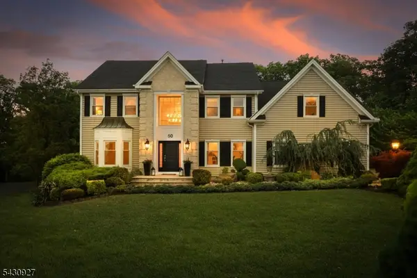 50 Scheurman Ter, Green Brook Twp., NJ 07059