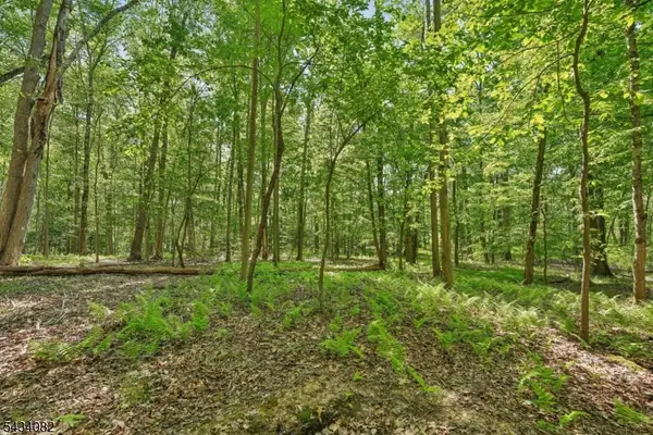 0 Homestead Rd, Long Hill Twp., NJ 07933