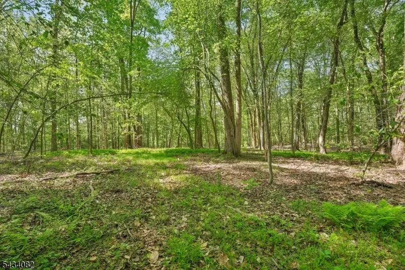 0 Homestead Rd, Gillette, NJ 07933 - #2