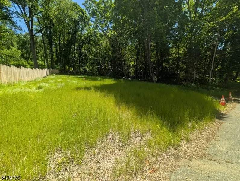 40 Chestnut St, Oxford, NJ 07863 - #1