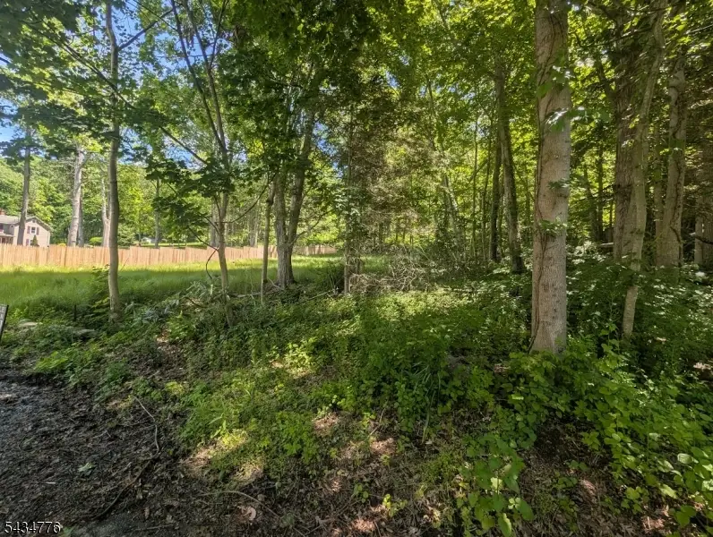 40 Chestnut St, Oxford, NJ 07863 - #2