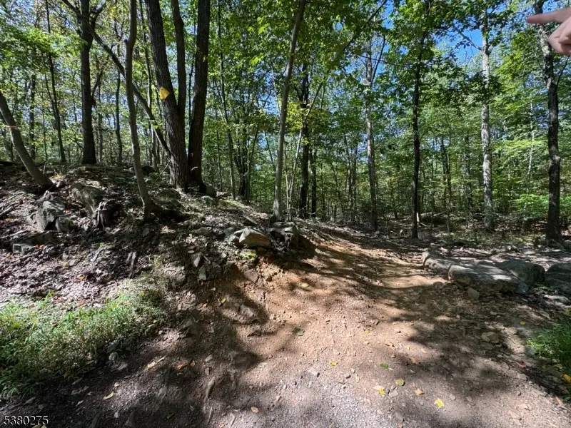 802 Brooklyn Mountain Rd, Hopatcong, NJ 07843 - #3
