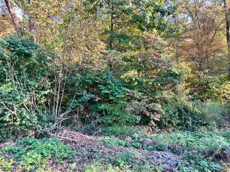 9 Old Woodland Trl, Oak Ridge, NJ 07438 - #3