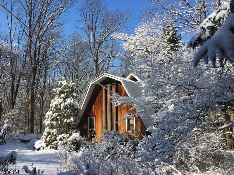 4 Pine Tree Ln, Chester, NJ 07930 - #2