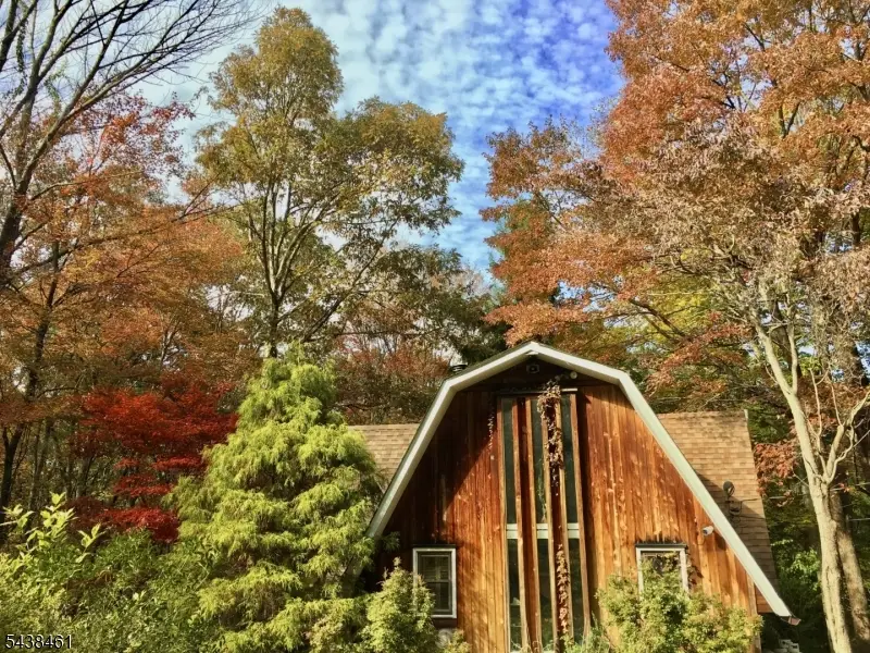 4 Pine Tree Ln, Chester, NJ 07930 - #3