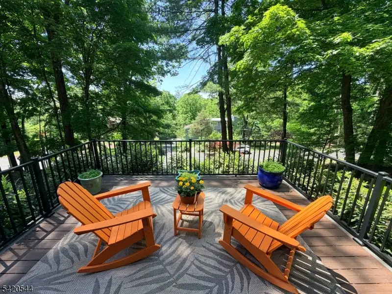 828 Star View Way, Bridgewater, NJ 08807 - #2