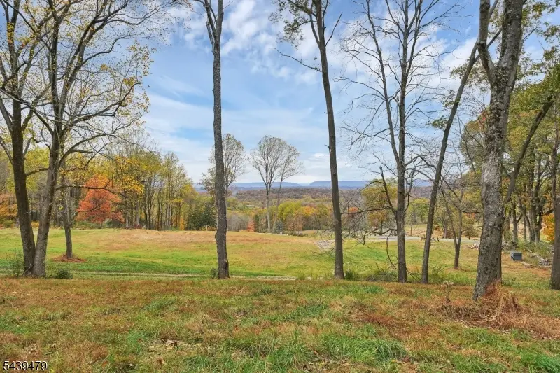 83 Danville Mountain Rd, Liberty, NJ 07838 - #1