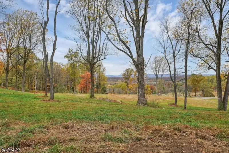 83 Danville Mountain Rd, Liberty, NJ 07838 - #2