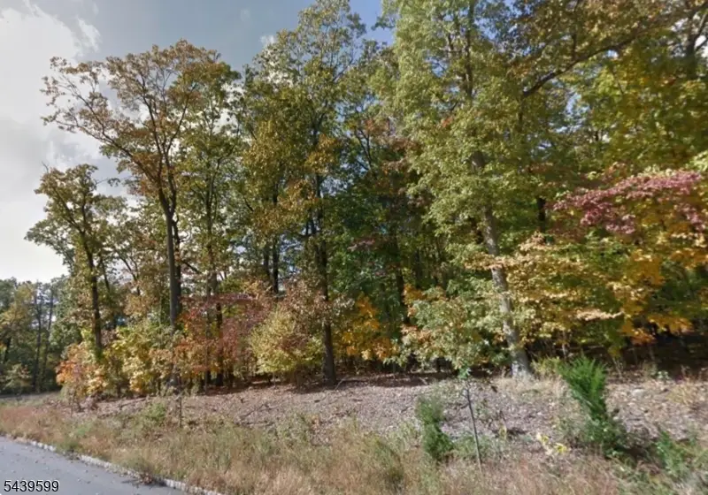 1 Bristol Ridge Rd, Boonton, NJ 07005 - #3