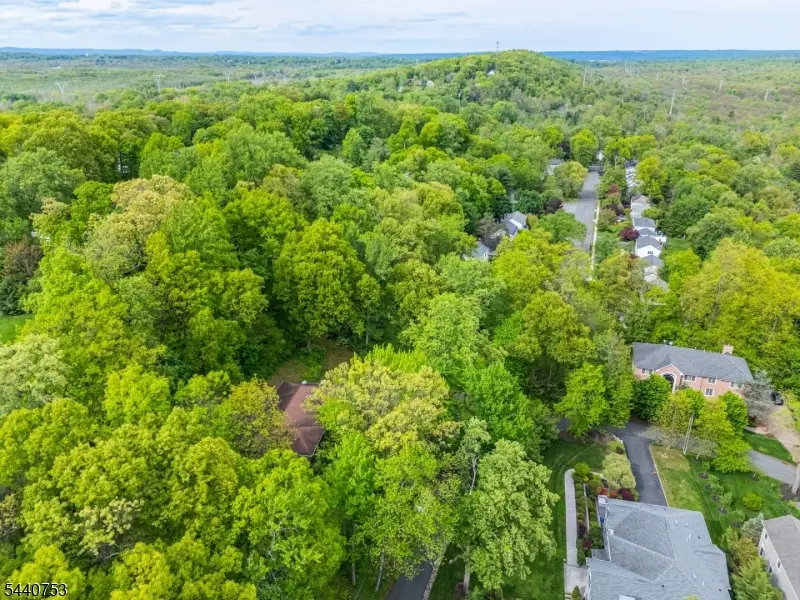 46 Mountain Ave, Chatham, NJ 07928 - #2