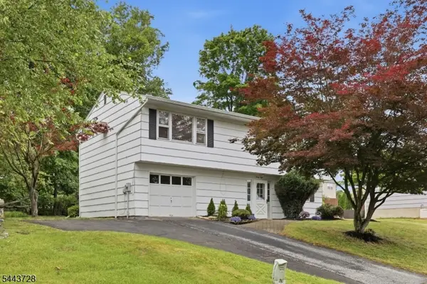 38 Birch Dr, Newton Town, NJ 07860