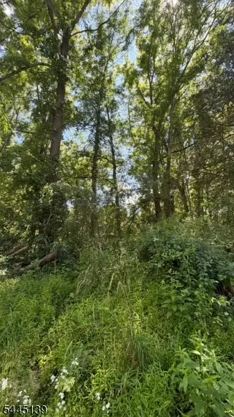 742 Townsbury Rd, Independence, NJ 07838 - #1