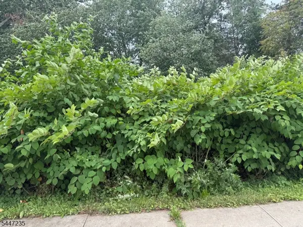 1110 Walnut St, Piscataway Twp., NJ 08854