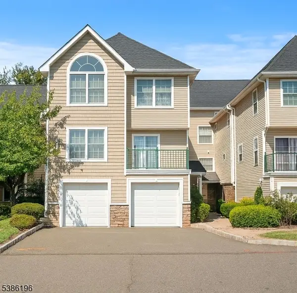 203 Rip Van Dam Ct, Montgomery Twp., NJ 08502
