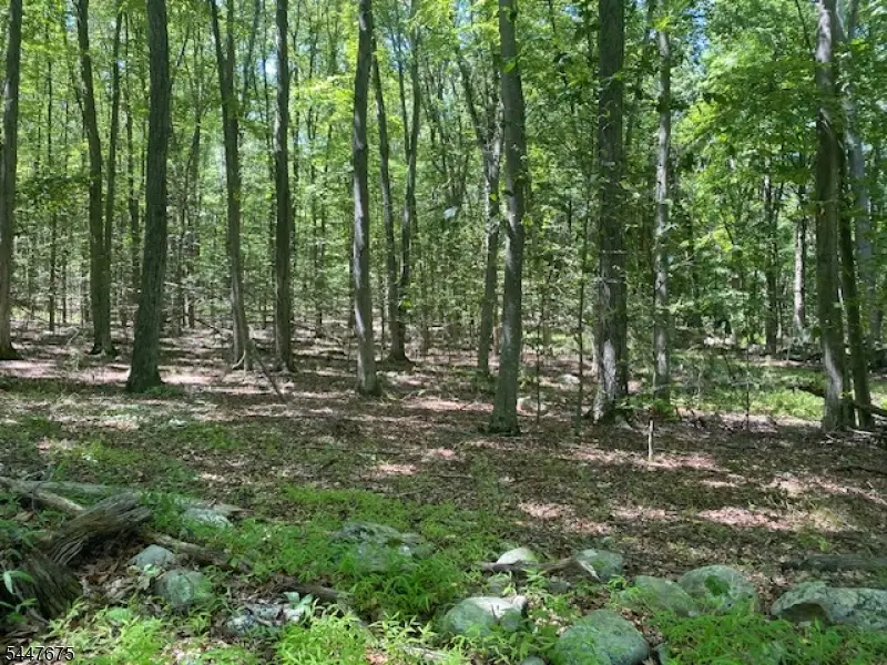 10 Newman Rd, Hardwick, NJ 07825 - #1