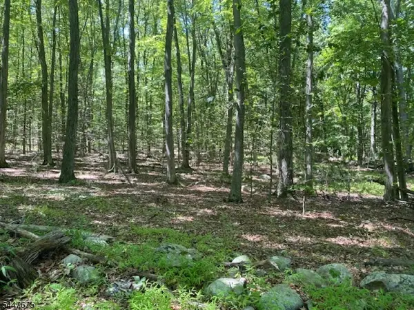 10 Newman Rd, Hardwick Twp., NJ 07825