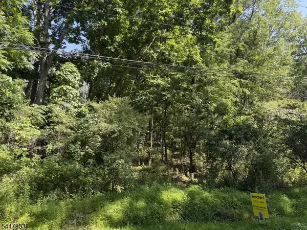 22 Bills Ln, Montague Twp., NJ 07827