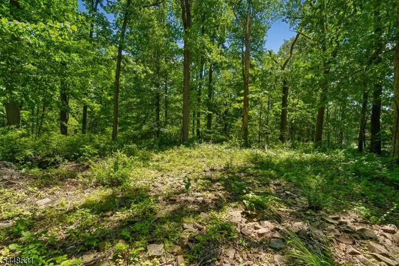 210 King George Rd, Warren, NJ 07059 - #3