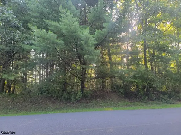 337 Wagon Wheel Rd, Montague Twp., NJ 07827