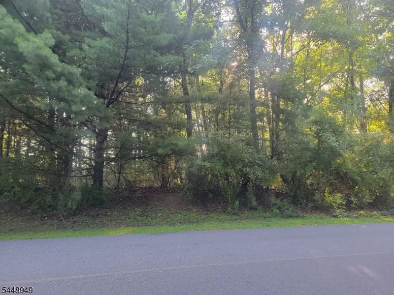 337 Wagon Wheel Rd, Montague, NJ 07827 - #3