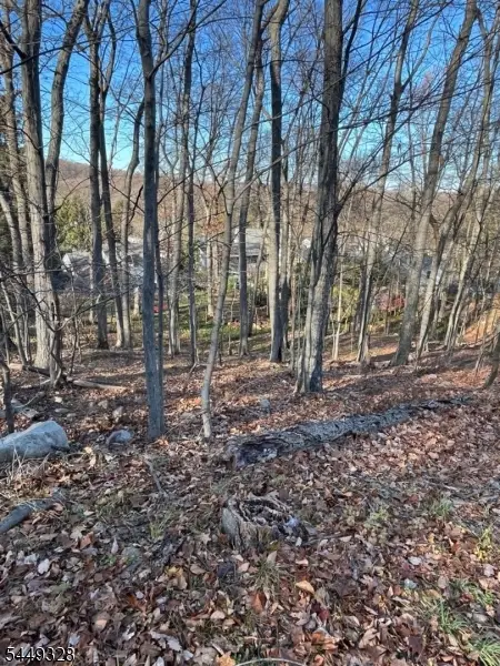 22 Mountain Rd, Denville Twp., NJ 07834