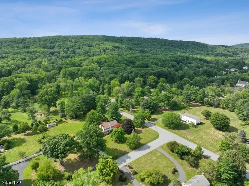 10 Sunnyfield Dr, Readington, NJ 08889 - #2